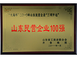 山东民营企业100强